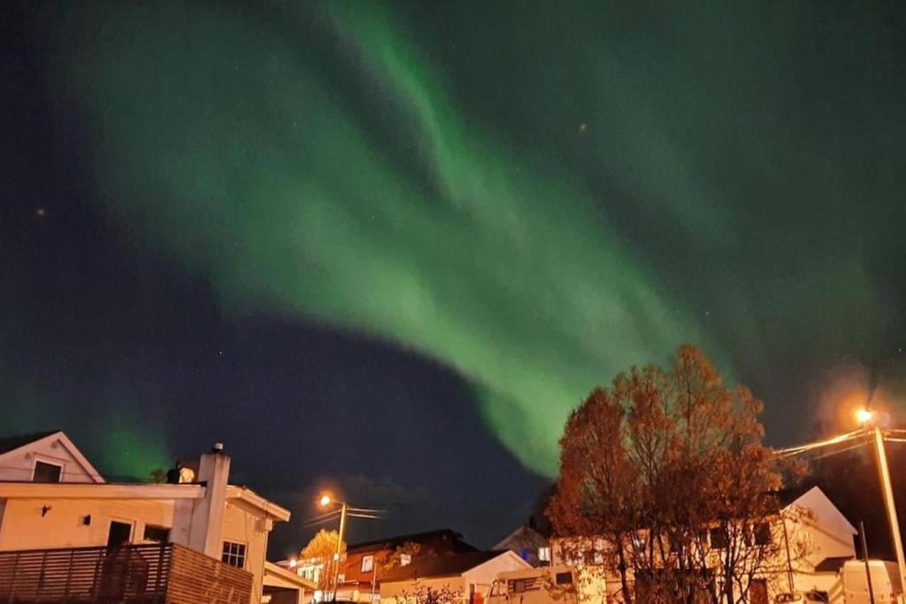 Warm And Cozy Apartment With Panoramic View Above The City Center Tromsø Eksteriør billede
